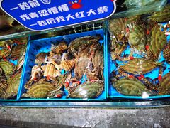 -双合园·海鲜水饺青岛菜(上清路店)