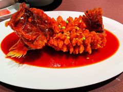 招牌松鼠桂鱼-RIVIERA 松鹤楼(外滩店)