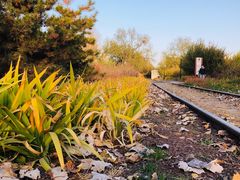 -永定河休闲森林公园