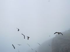 -海驴岛(荣成市)