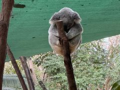 -可伦宾野生动物保护区