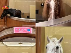 -海澜飞马水城