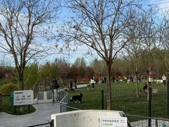 -爪吧宠物乐园 (温榆河示范区店)