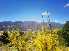 -白水寺森林公园