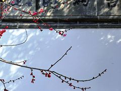 -中国昆曲博物馆