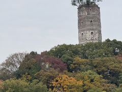 -江心屿景区