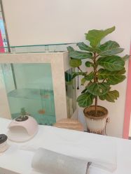 -纤指百魅美甲美睫