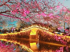 -无锡君来洲际酒店