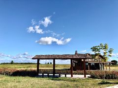 -黑龙江扎龙生态旅游区
