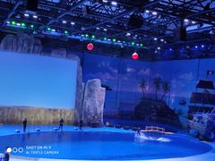 -华夏文旅海洋公园