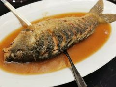 红烧黄河大鲤鱼-阿庄新豫菜(航海东路店)