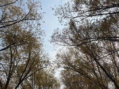 -野鸭湖国家湿地公园