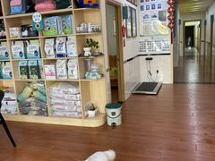 -千城康桥宠物医院·猫科·骨科·心脏
