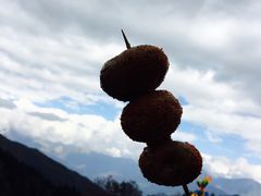 -硗碛藏寨·神木垒景区