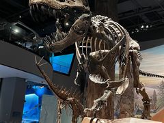 -浙江自然博物院(杭州馆)