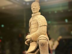 -秦始皇帝陵博物院(兵马俑)