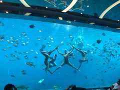 -瑞德姆美人鱼海底演艺主题餐厅(亚龙湾店)