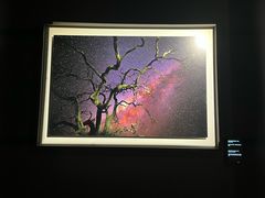 -罗红摄影艺术馆