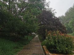 -元大都城垣遗址公园