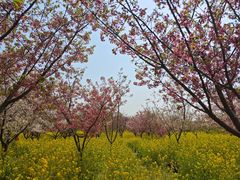 -古柏渡飞黄旅游区