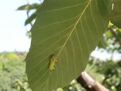 -蟠龙山长城景区