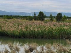 -野鸭湖国家湿地公园