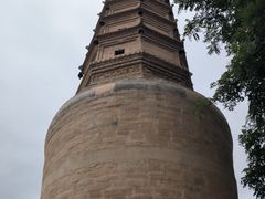 -白塔山公园
