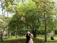 -武汉大学-樱园