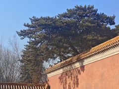 -清西陵
