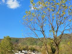 -塔川景区