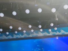 -烟台海昌鲸鲨海洋公园