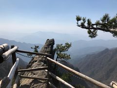 -王顺山国家森林公园