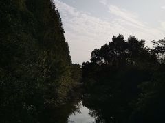 -东平国家森林公园