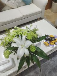 -HEYAN长风荷妍专业脱毛美肤
