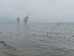 -青海湖二郎剑景区