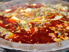 -老船夫石锅苗苗鱼·老字号(三道堰总店)