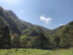 -肯德基(秦岭服务区店)