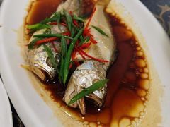 黄花鱼-梅子大排档