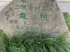 -常熟方塔园