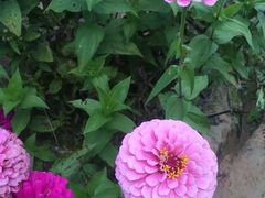 -鴜鹭湖生态旅游度假区