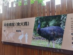-武汉动物园