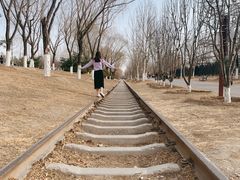 -永定河休闲森林公园