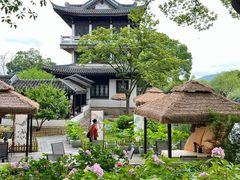 -无锡蠡湖国家湿地公园-蠡园