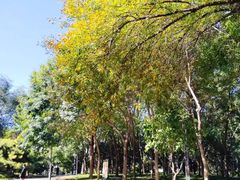 -元大都城垣遗址公园