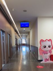 -上海玫瑰医疗美容医院