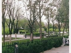 -木塔寺遗址生态公园