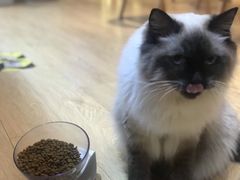 -Pets First伊珊娜洗护·精致美容·家庭式寄养(新会路店)