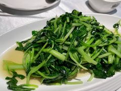 清炒鸡毛菜-玉玲珑(陆家嘴店)