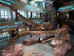 -安徽省地质博物馆