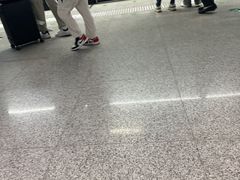 -野芷湖(地铁站)